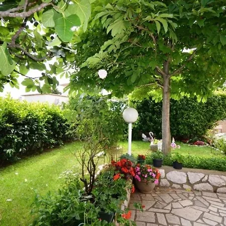 Appartement Gorana *